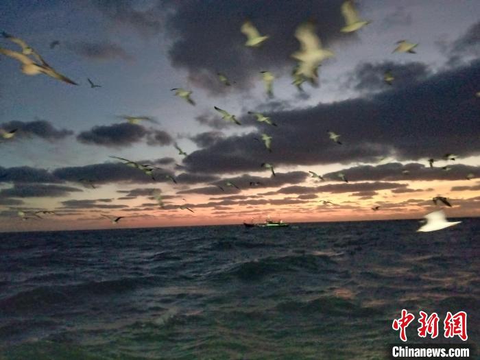 體育投注：（新春走基層）浙江象山漁民新春出海見聞：漁舟唱晚 落霞與海鷗齊飛