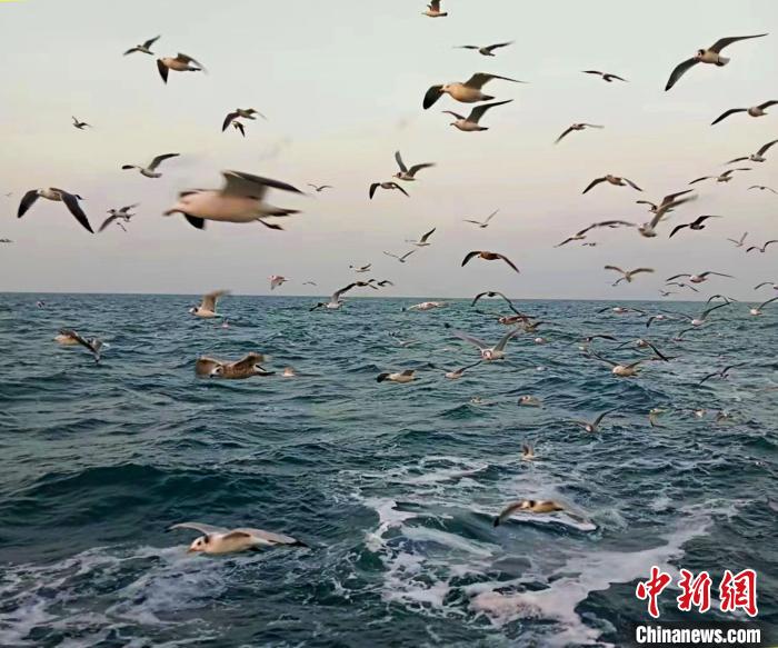體育投注：（新春走基層）浙江象山漁民新春出海見聞：漁舟唱晚 落霞與海鷗齊飛