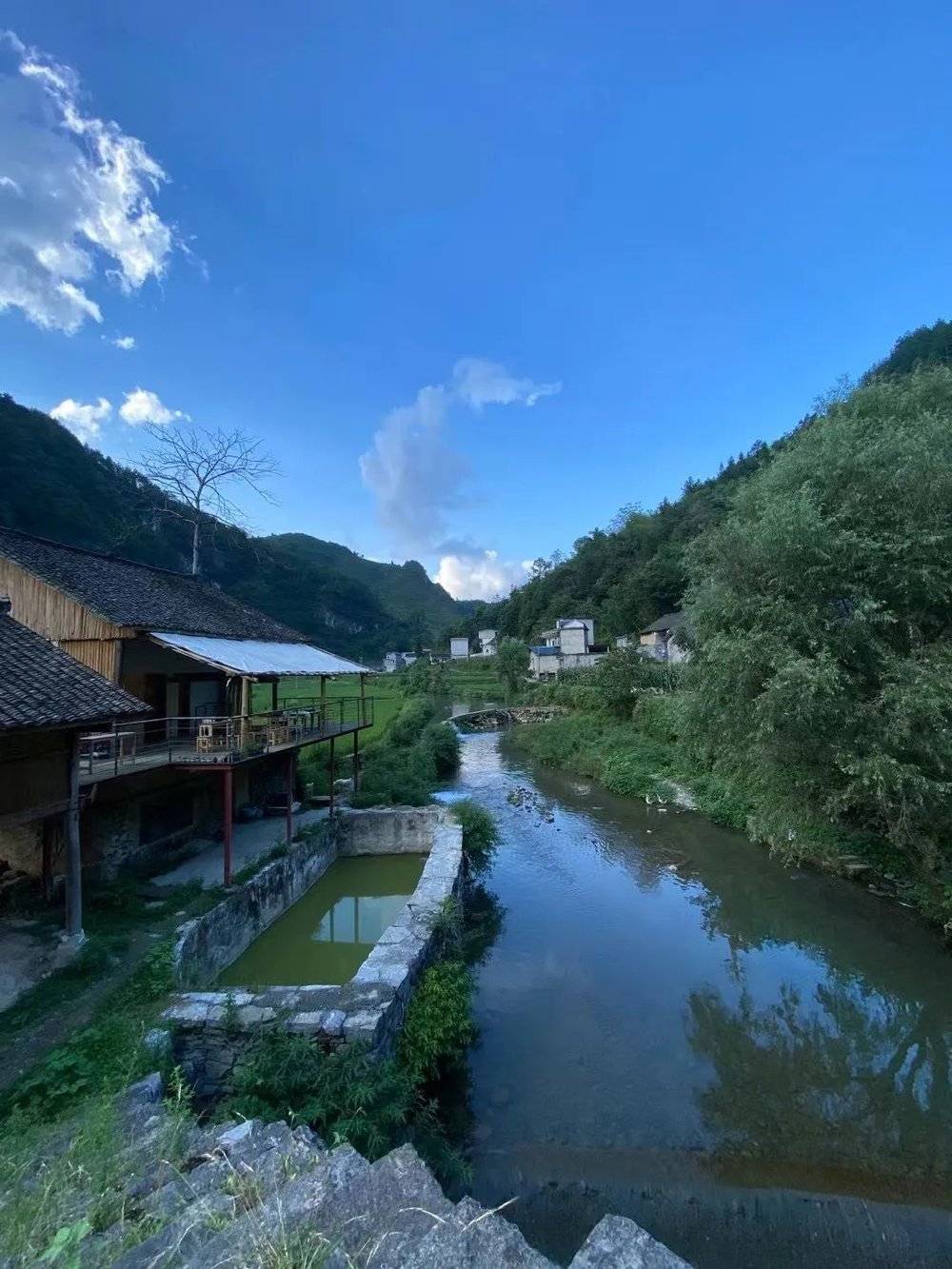 線上賭場：“村晚”背後